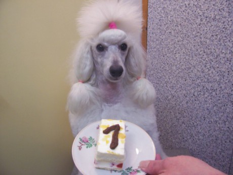 Derinka oslavila první narozeniny.