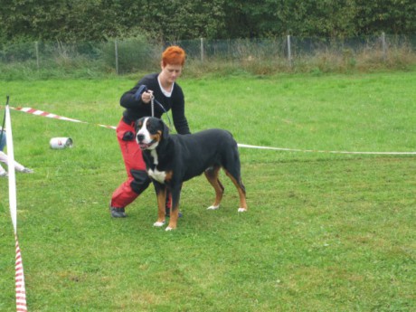 Ukázka výstavního postoje.