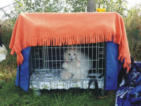 Derinka - odpočinek.