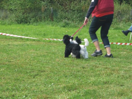 2. výstava - pokračování.