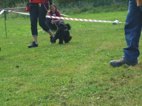 výstava - jediný Bert se dostal do užšího výběru.