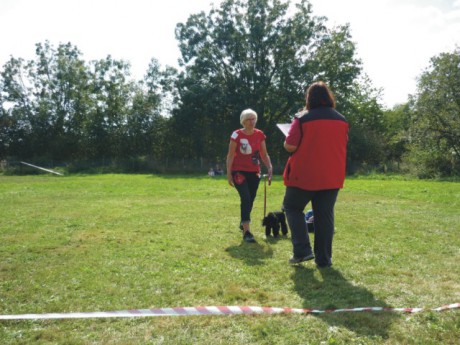1. Bertík se umístil na výstavě na 3. místě - převzetí cen.