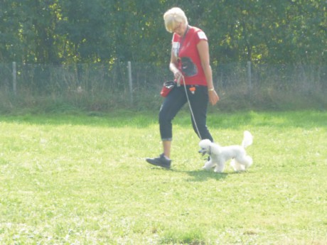 1. Riky o nejlepší dorost výstavy.