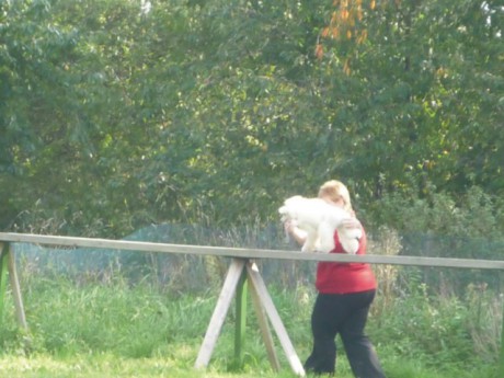 2. Derča - poslušnost - kladina.