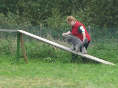 3. Viny - poslušnost - kladina.