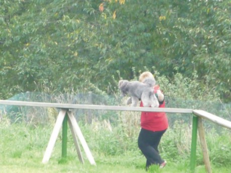 4. Viny - poslušnost - kladina.