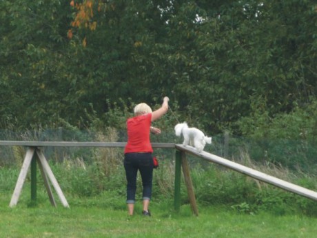 3. Riky - poslušnost - kladina.