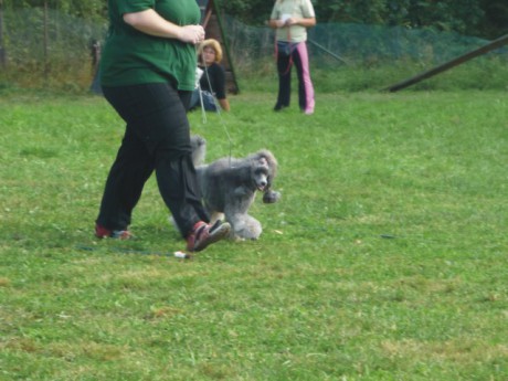 Speciální cviky - průchod buřtovou uličkou.